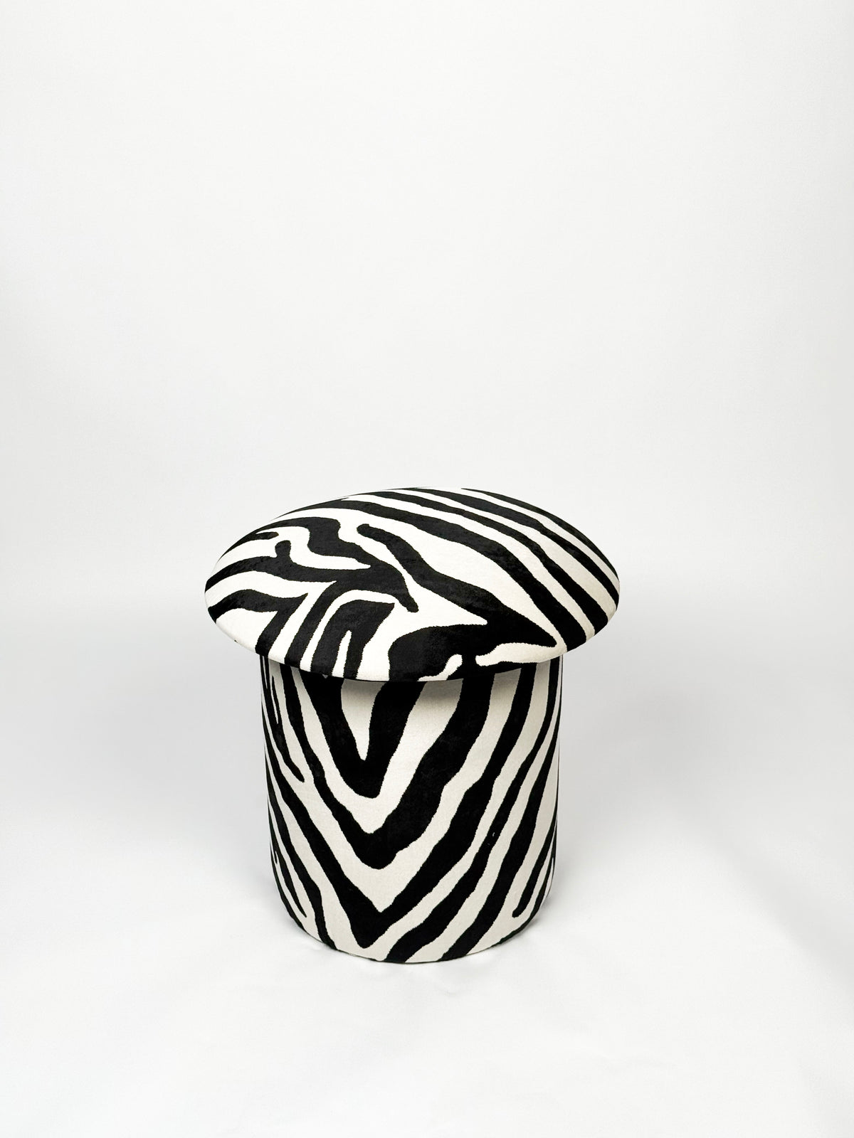 ZIGGY GAZE ZEBRA
